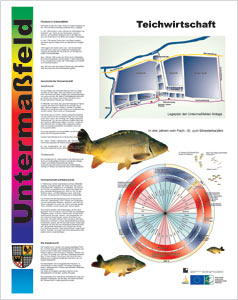 Schautafel . Teichwirtschaft . Untermaßfeld