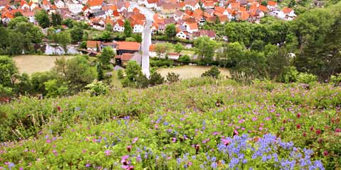 Vachdorf vom Krayenberg